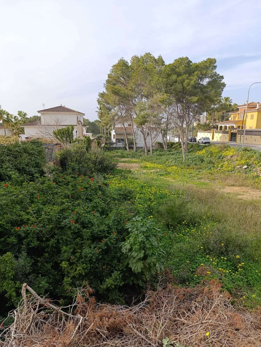 [object Object] - image