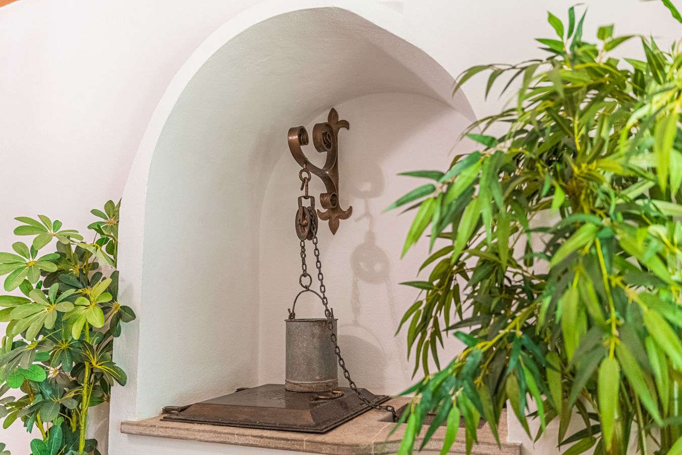 [object Object] - image