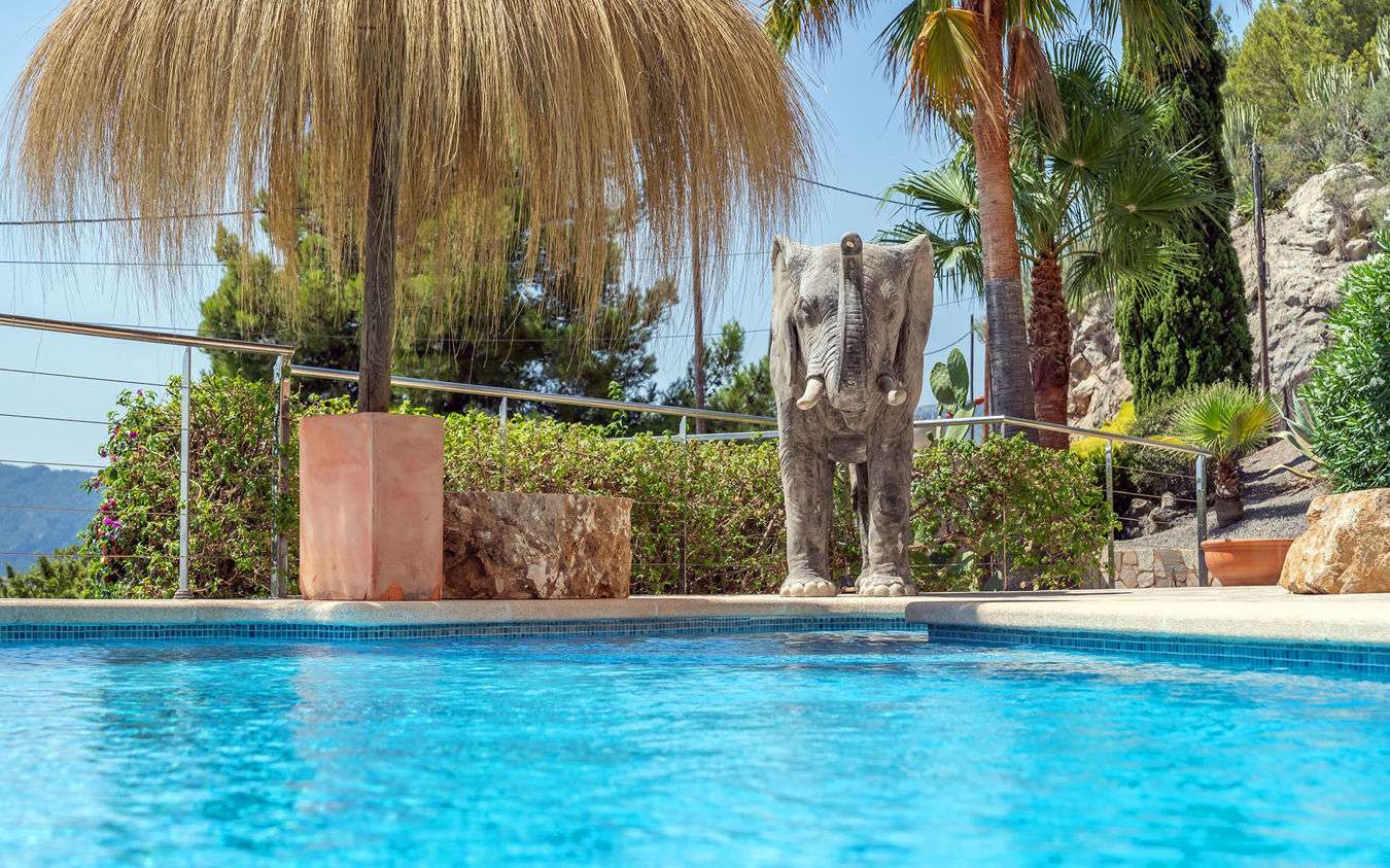 [object Object] - image