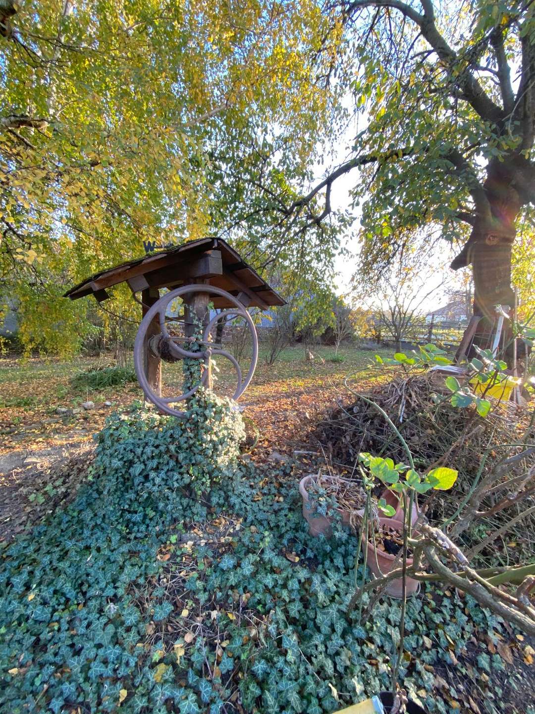 [object Object] - image