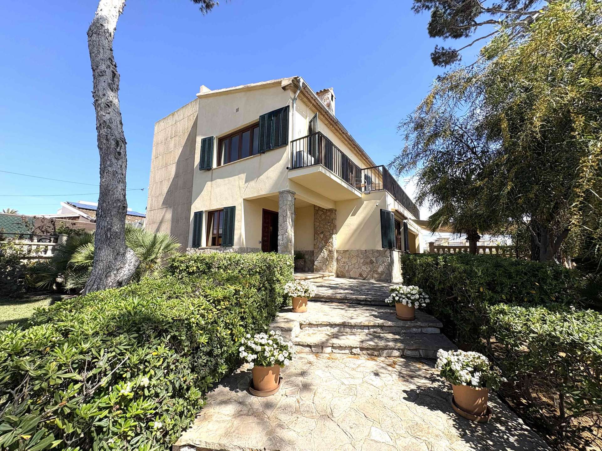 [object Object] - image