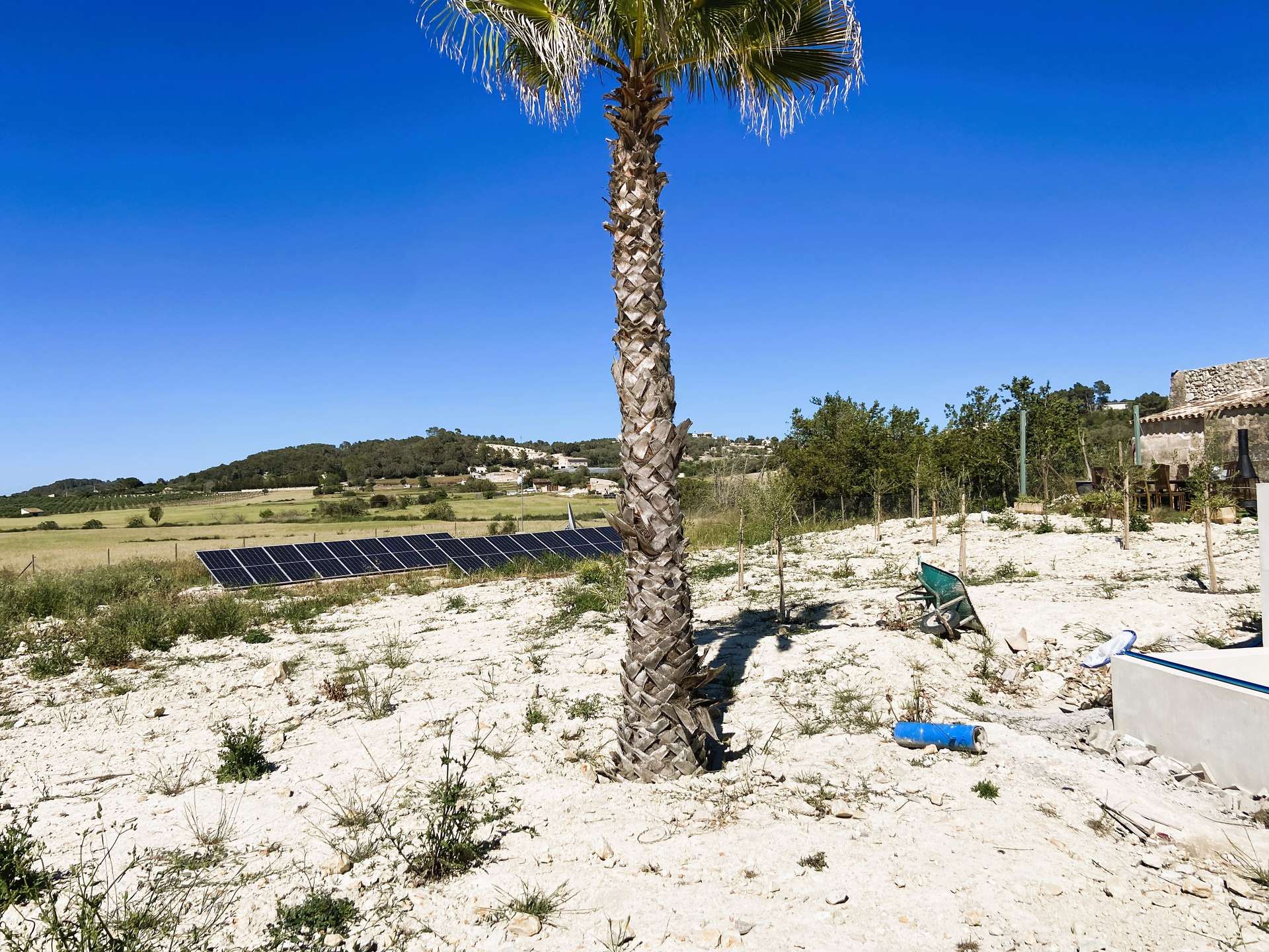 [object Object] - image