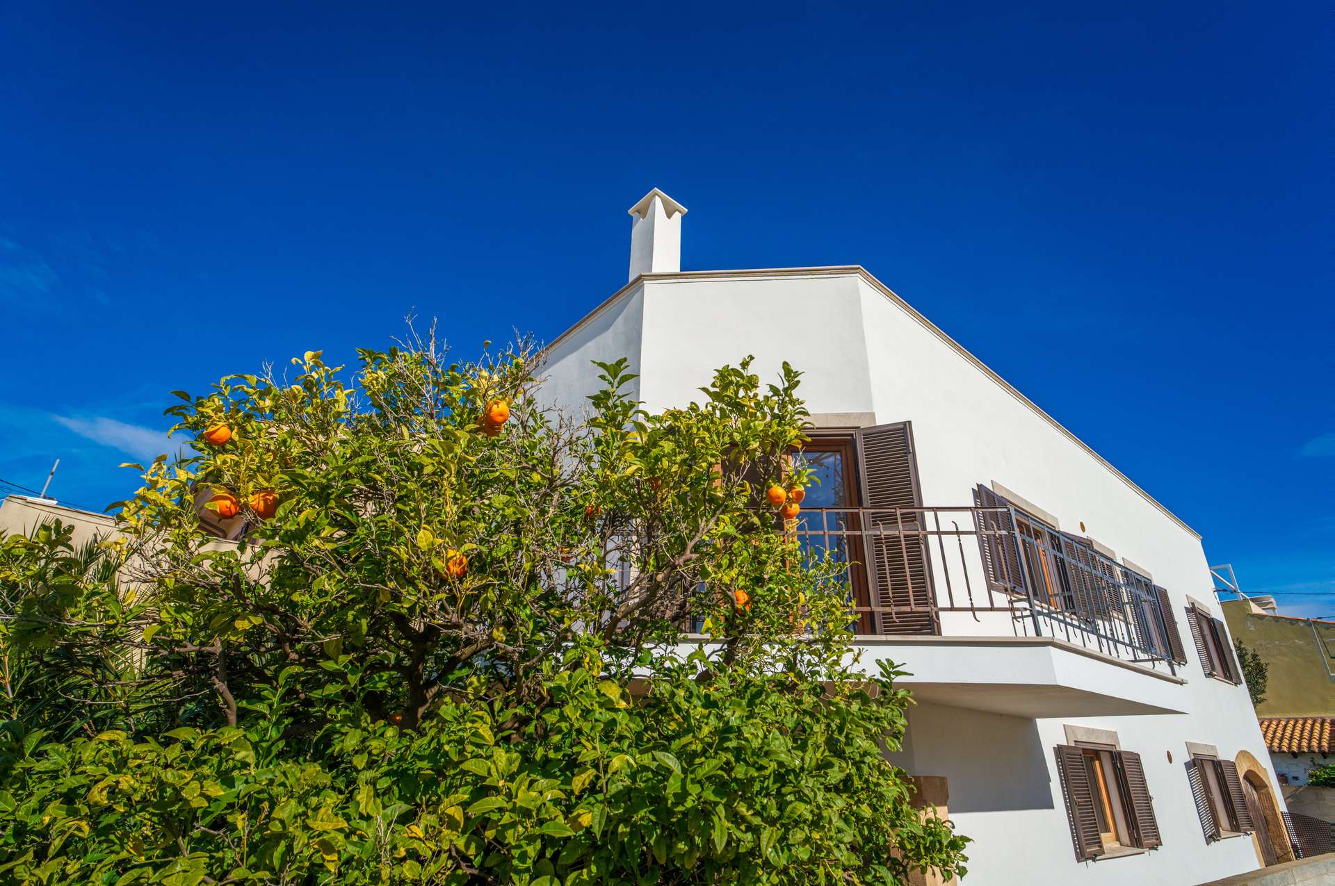 [object Object] - image