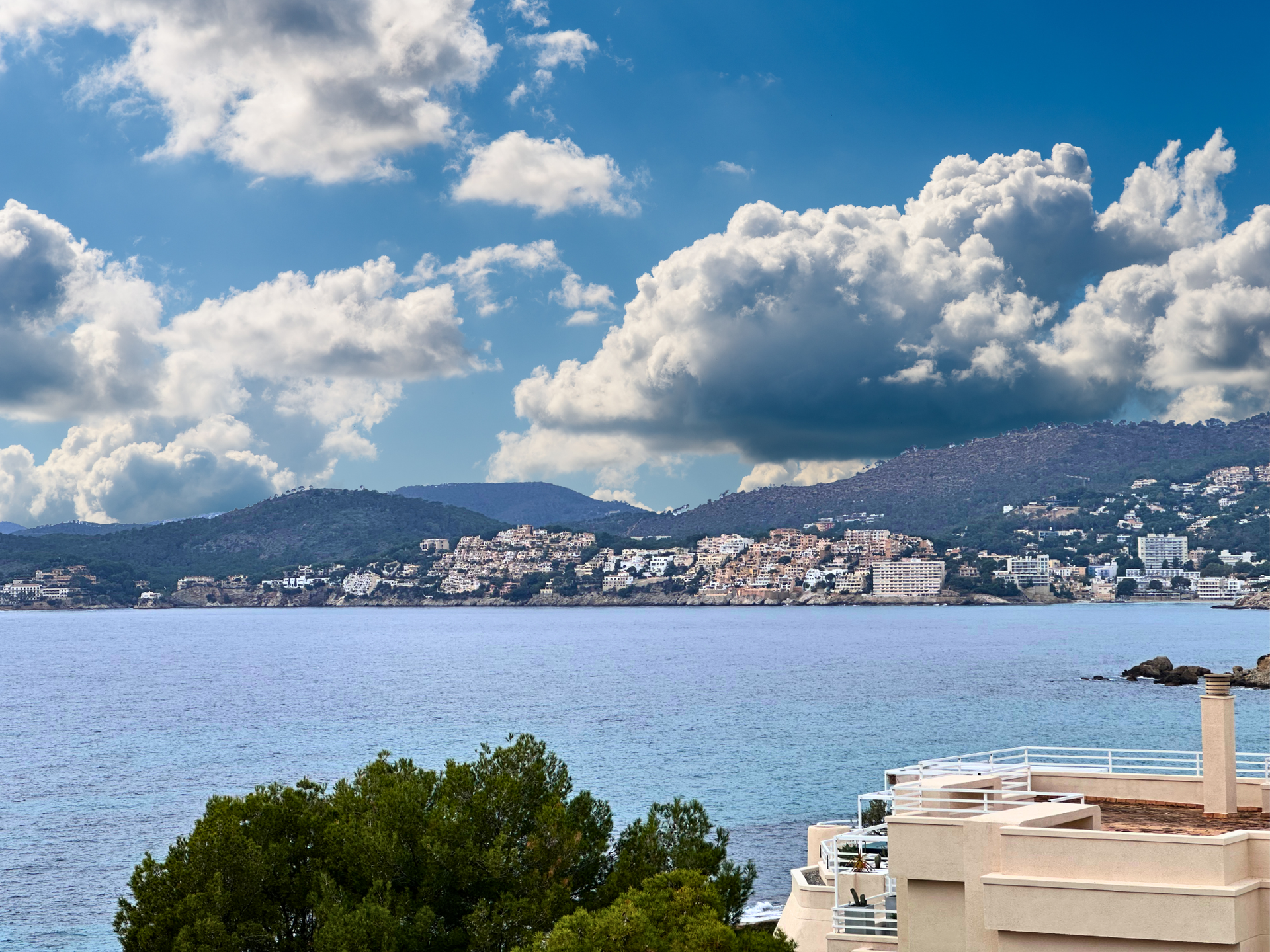 [object Object] - image