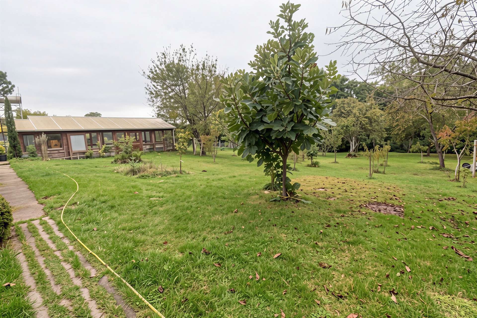 [object Object] - image