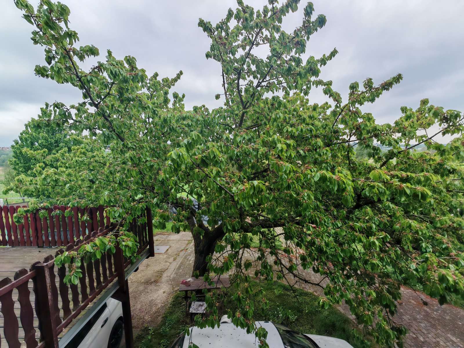 [object Object] - image