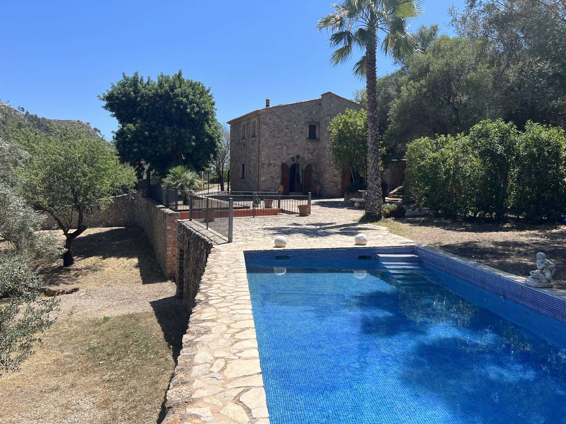 [object Object] - image