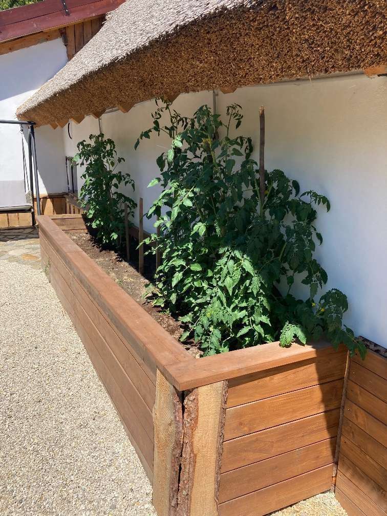 [object Object] - image