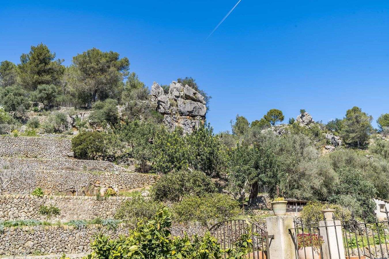 [object Object] - image