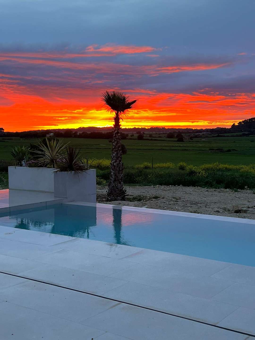 [object Object] - image