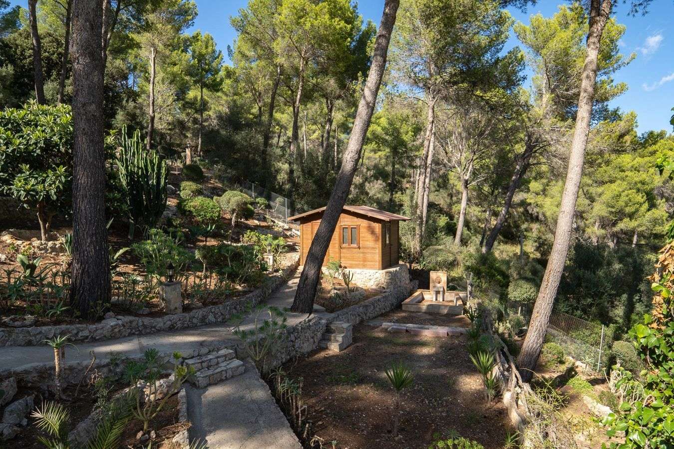 [object Object] - image