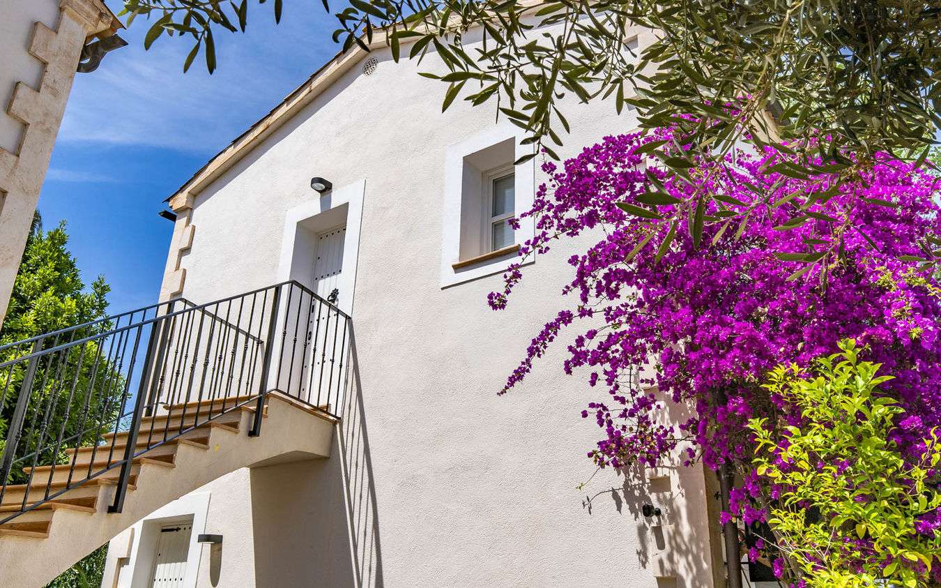 [object Object] - image