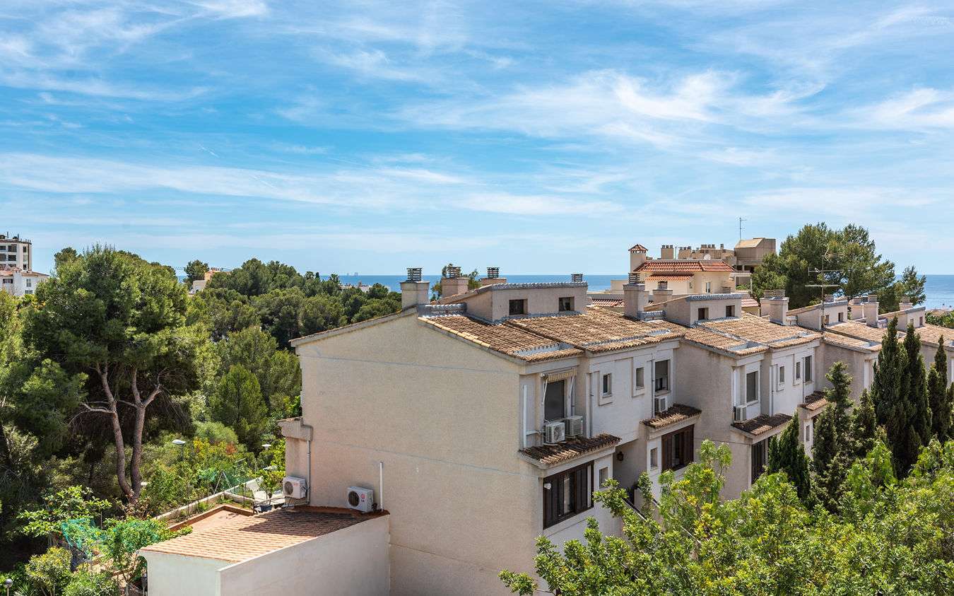 [object Object] - image