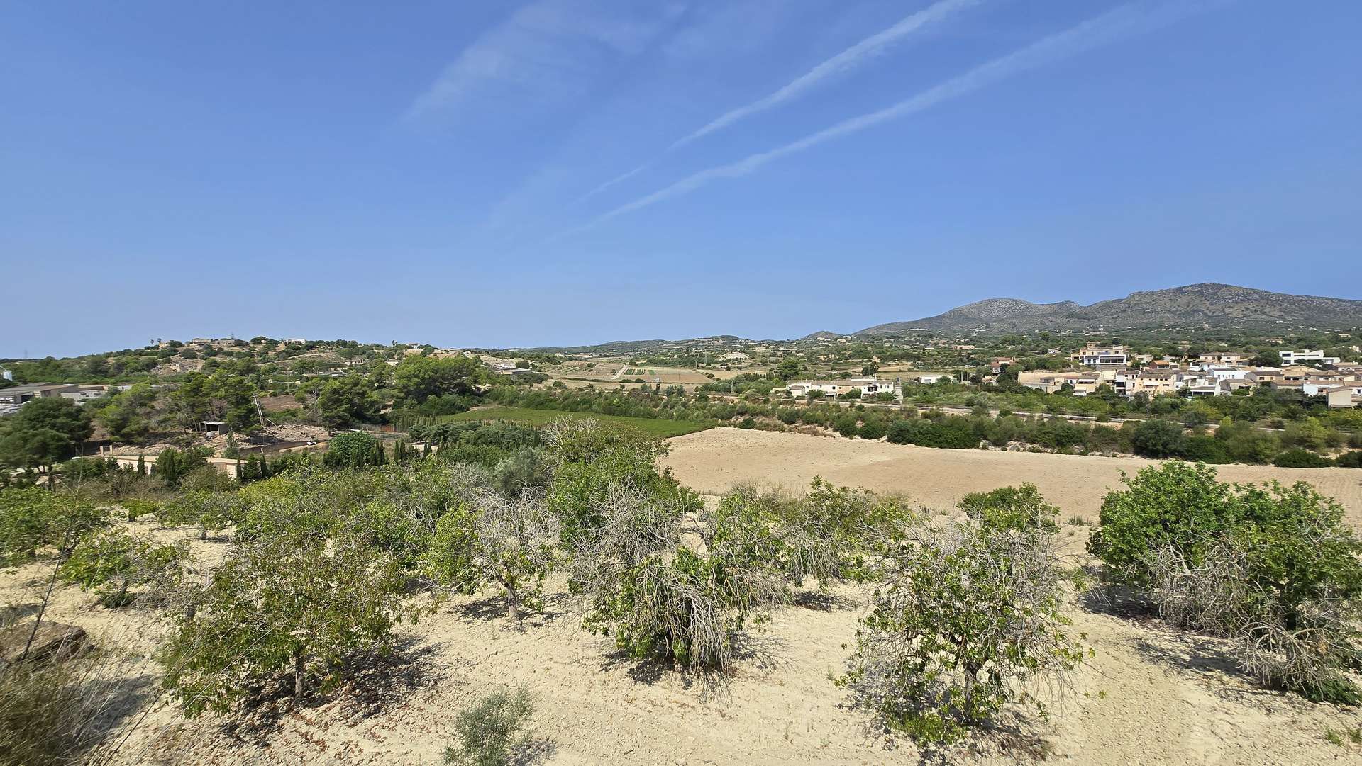 [object Object] - image