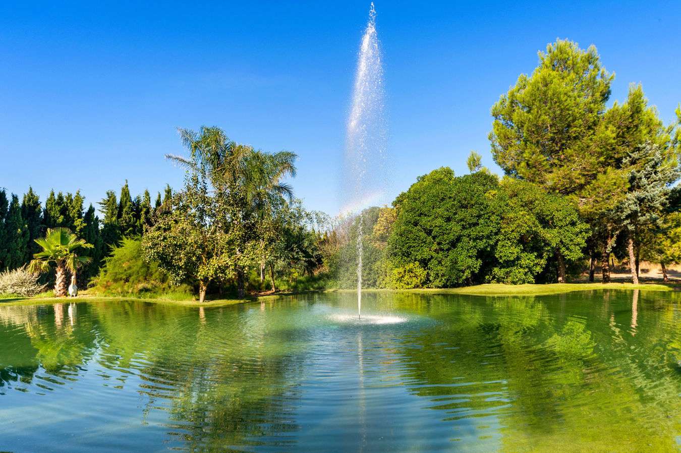 [object Object] - image