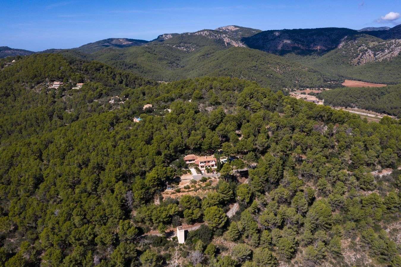 [object Object] - image