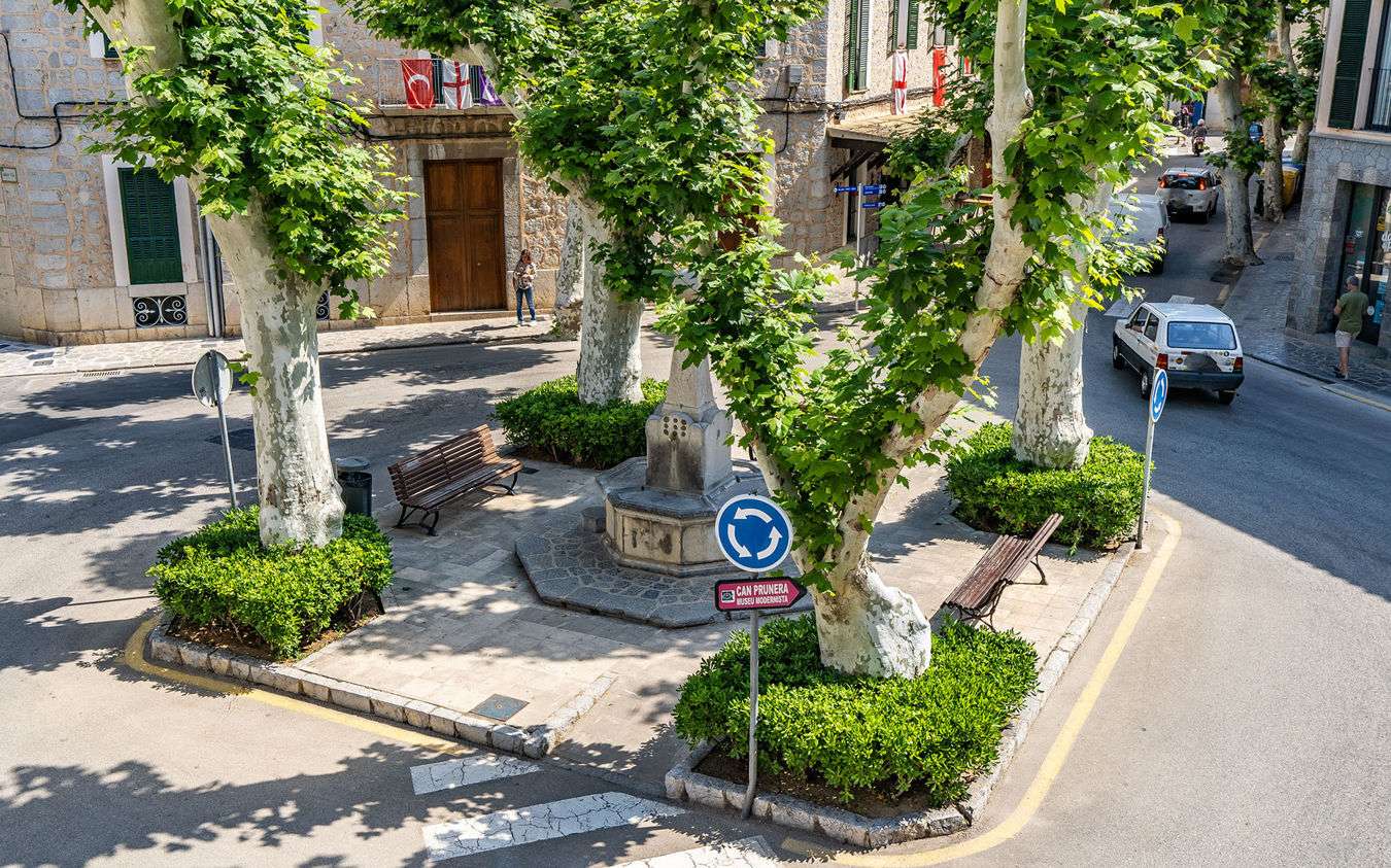 [object Object] - image