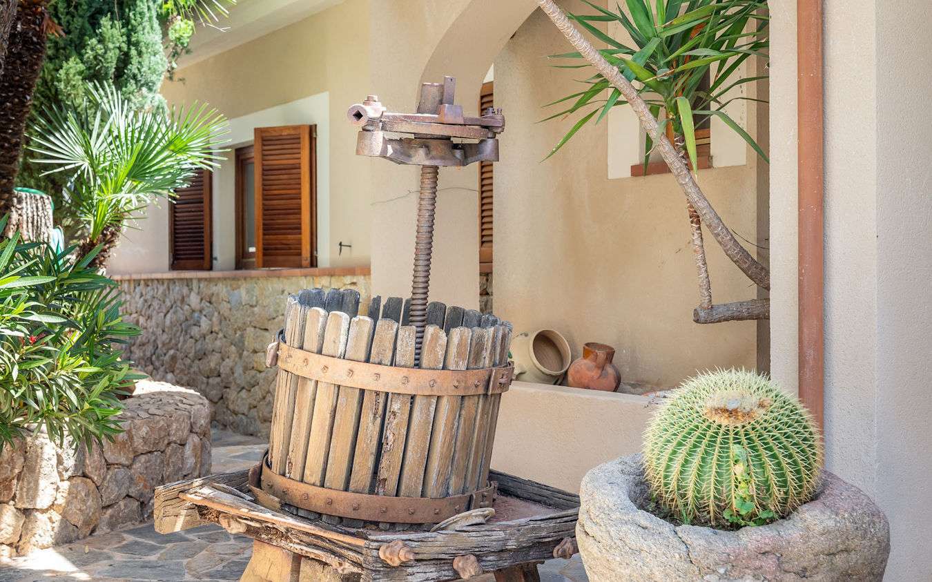 [object Object] - image