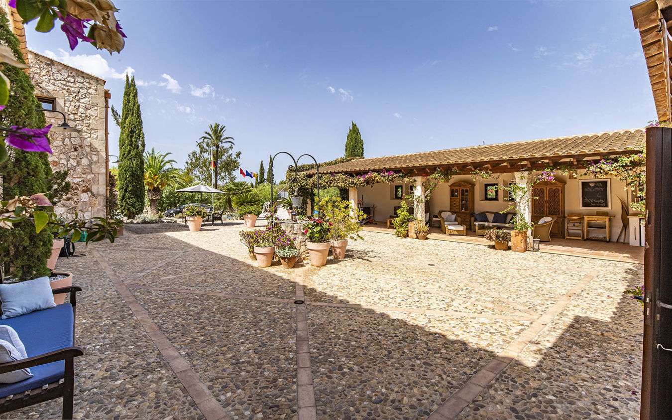 [object Object] - image