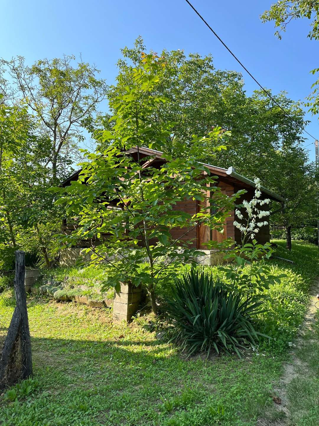 [object Object] - image