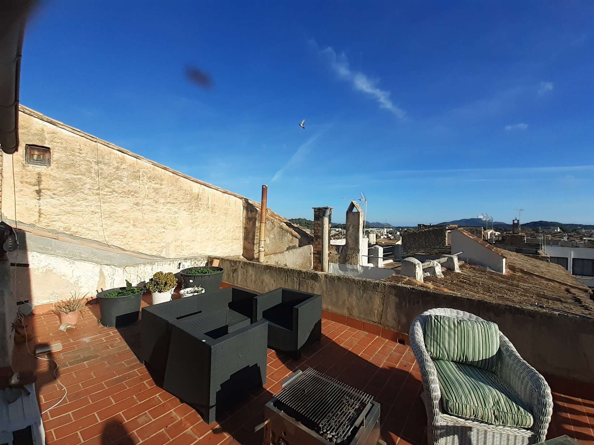 [object Object] - image