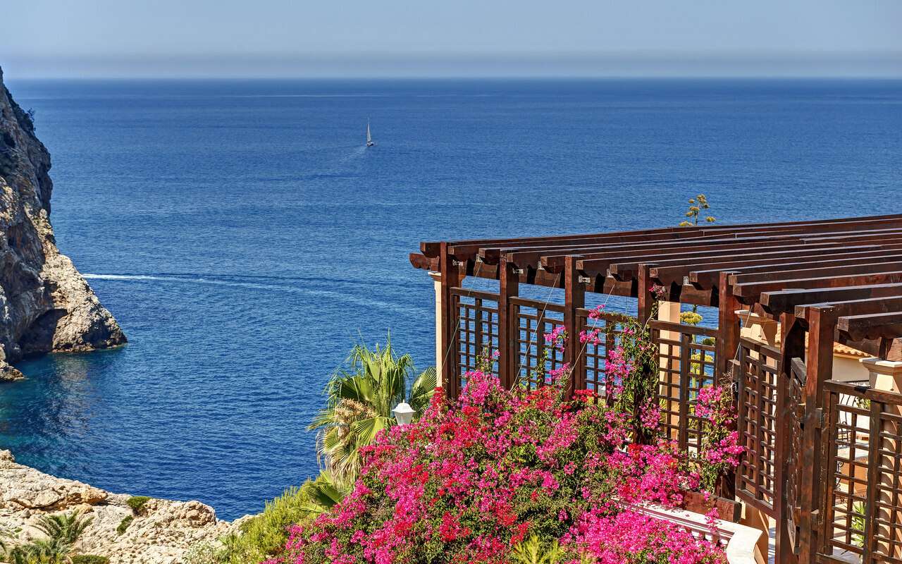 [object Object] - image