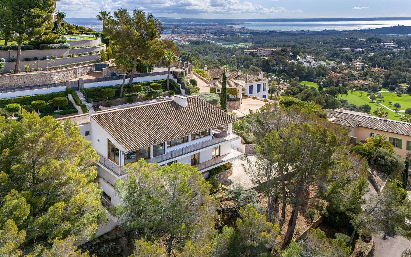 [object Object] - image