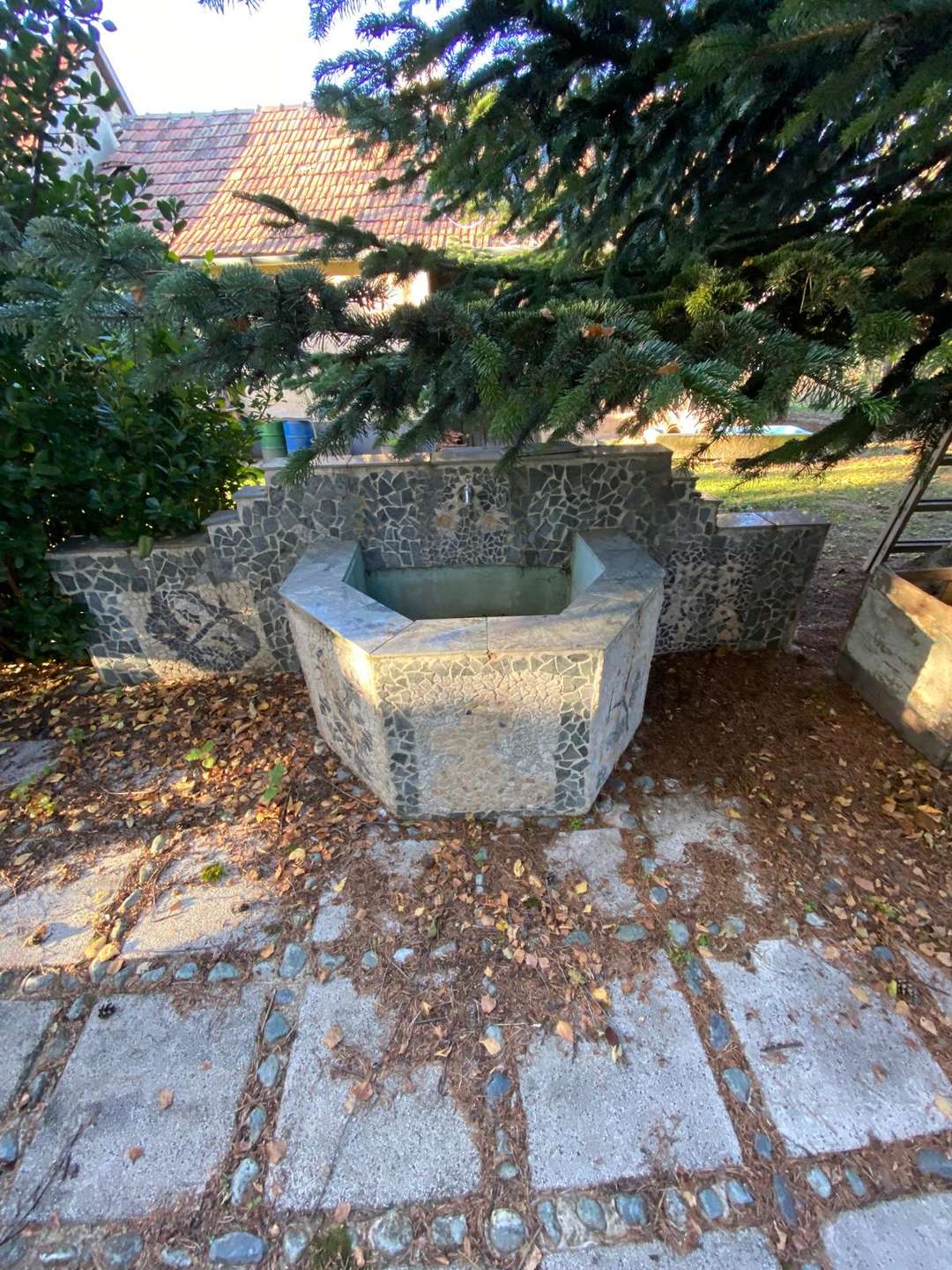 [object Object] - image