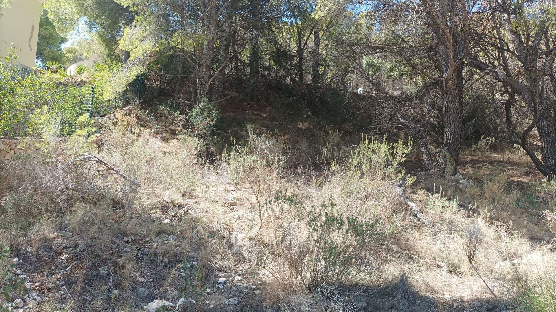 [object Object] - image