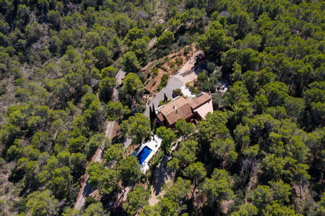 [object Object] - image