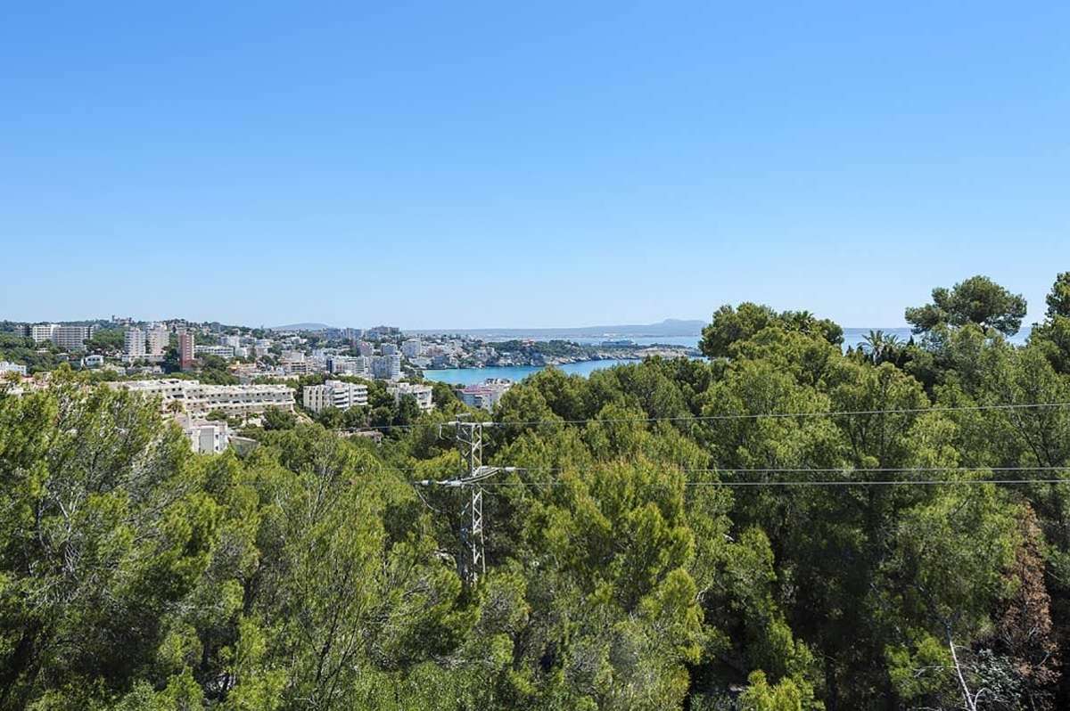 [object Object] - image