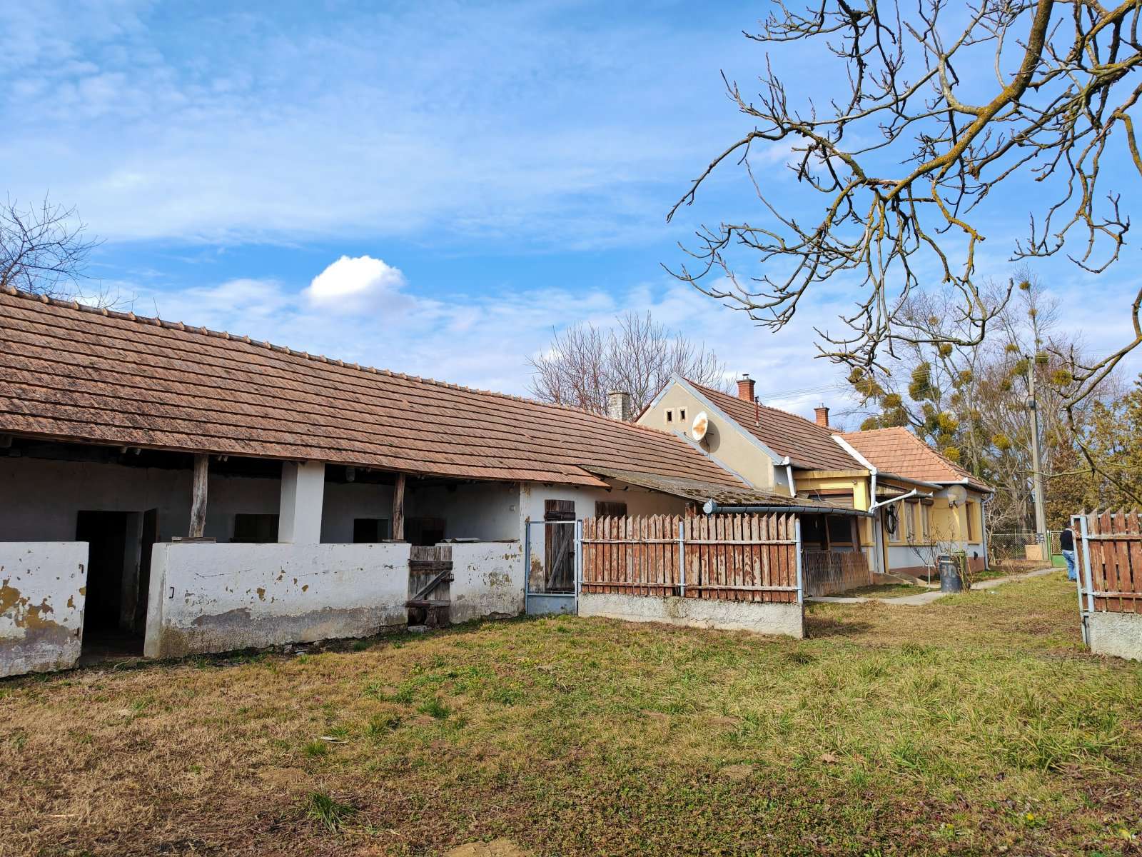 [object Object] - image