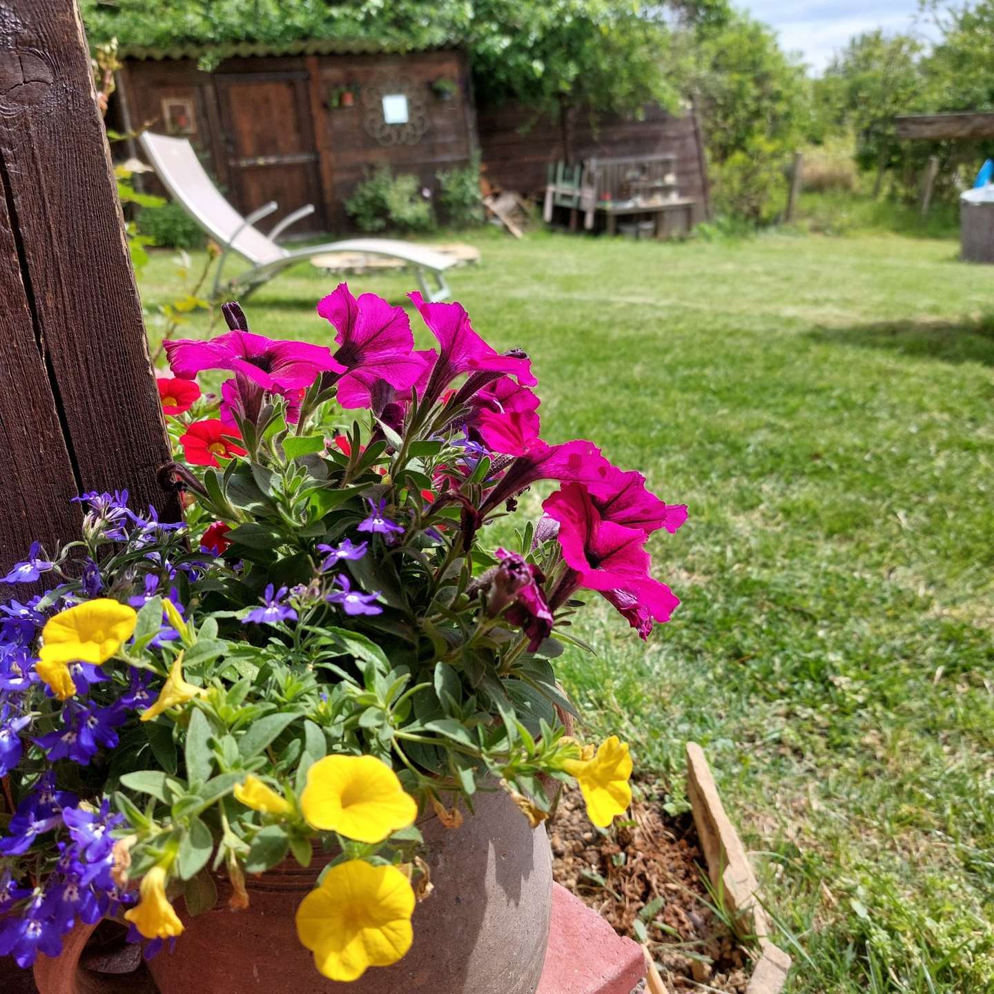 [object Object] - image