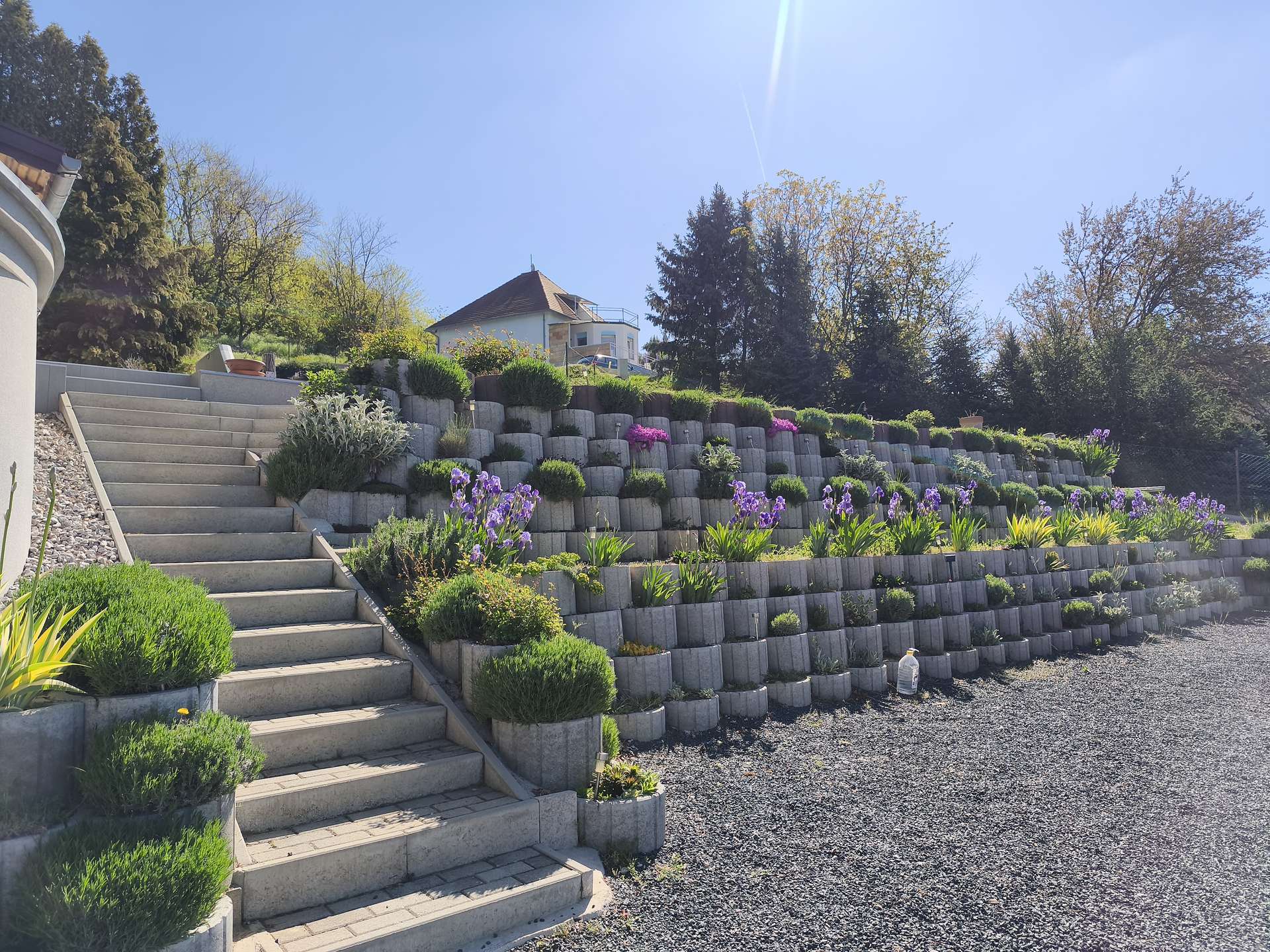 [object Object] - image