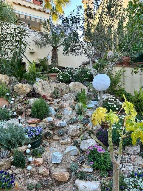 [object Object] - image