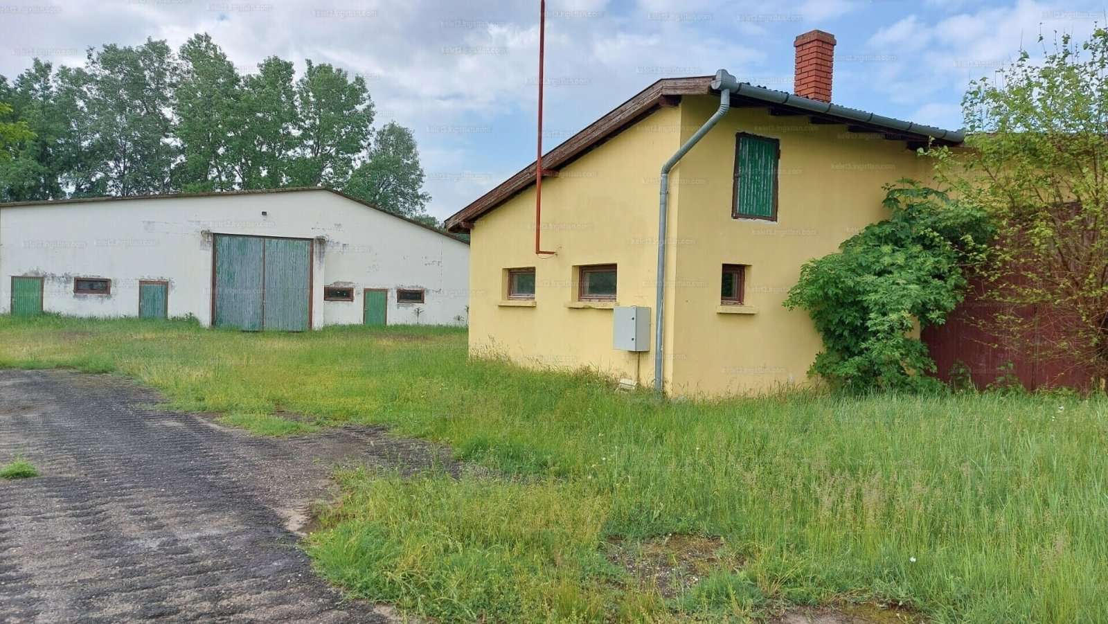 [object Object] - image