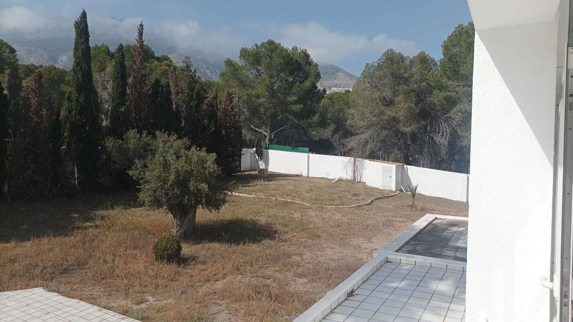 [object Object] - image