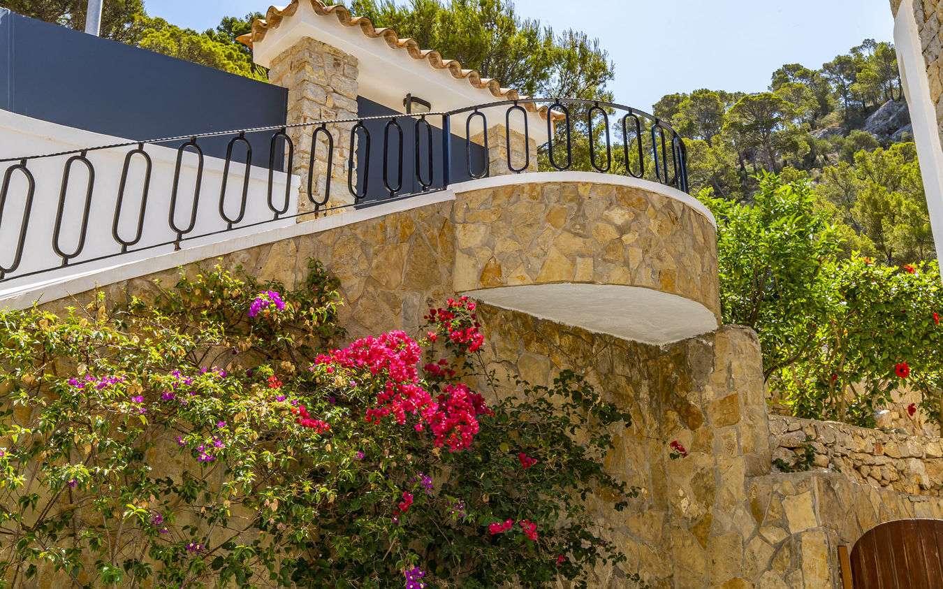 [object Object] - image