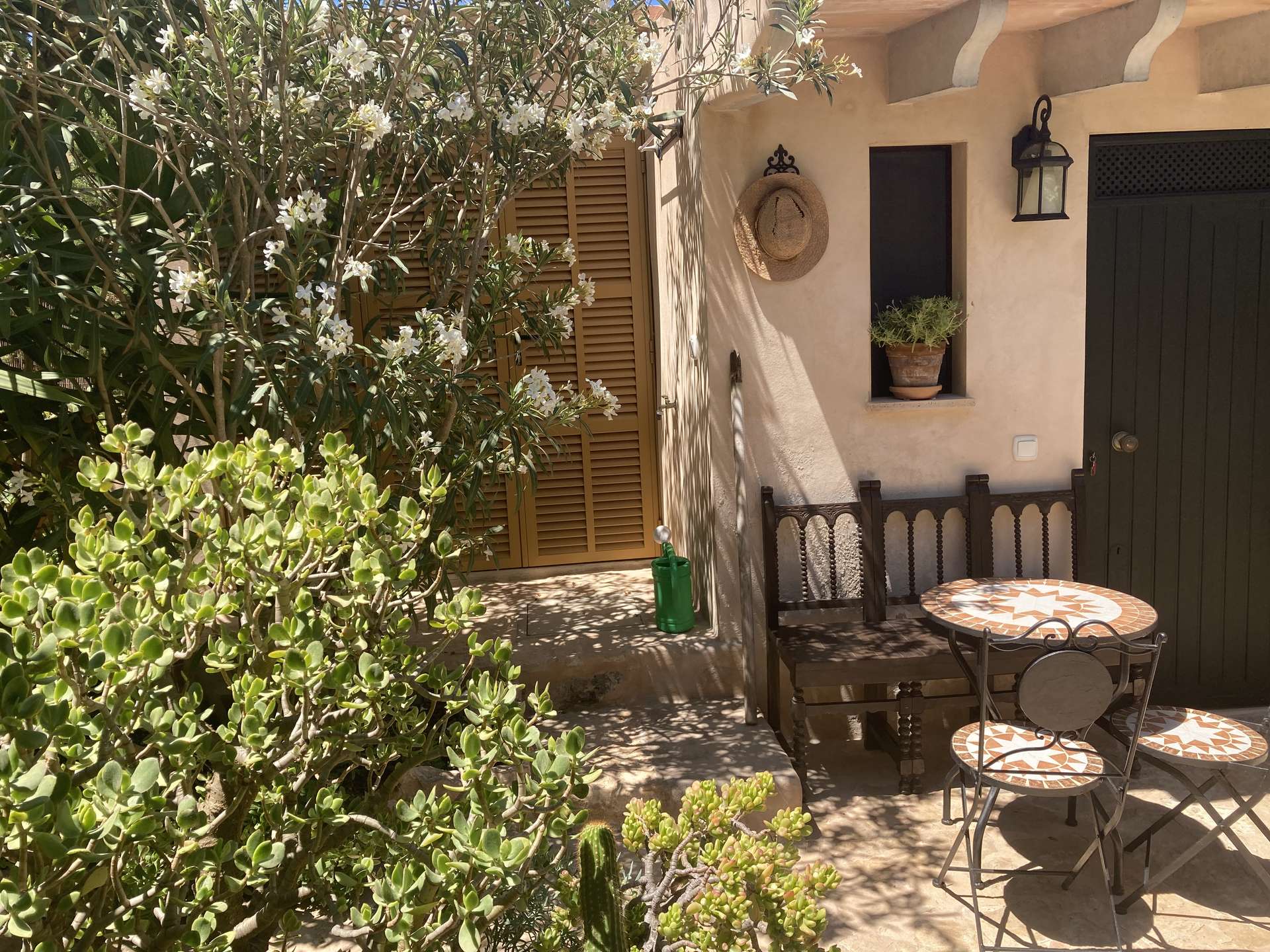 [object Object] - image