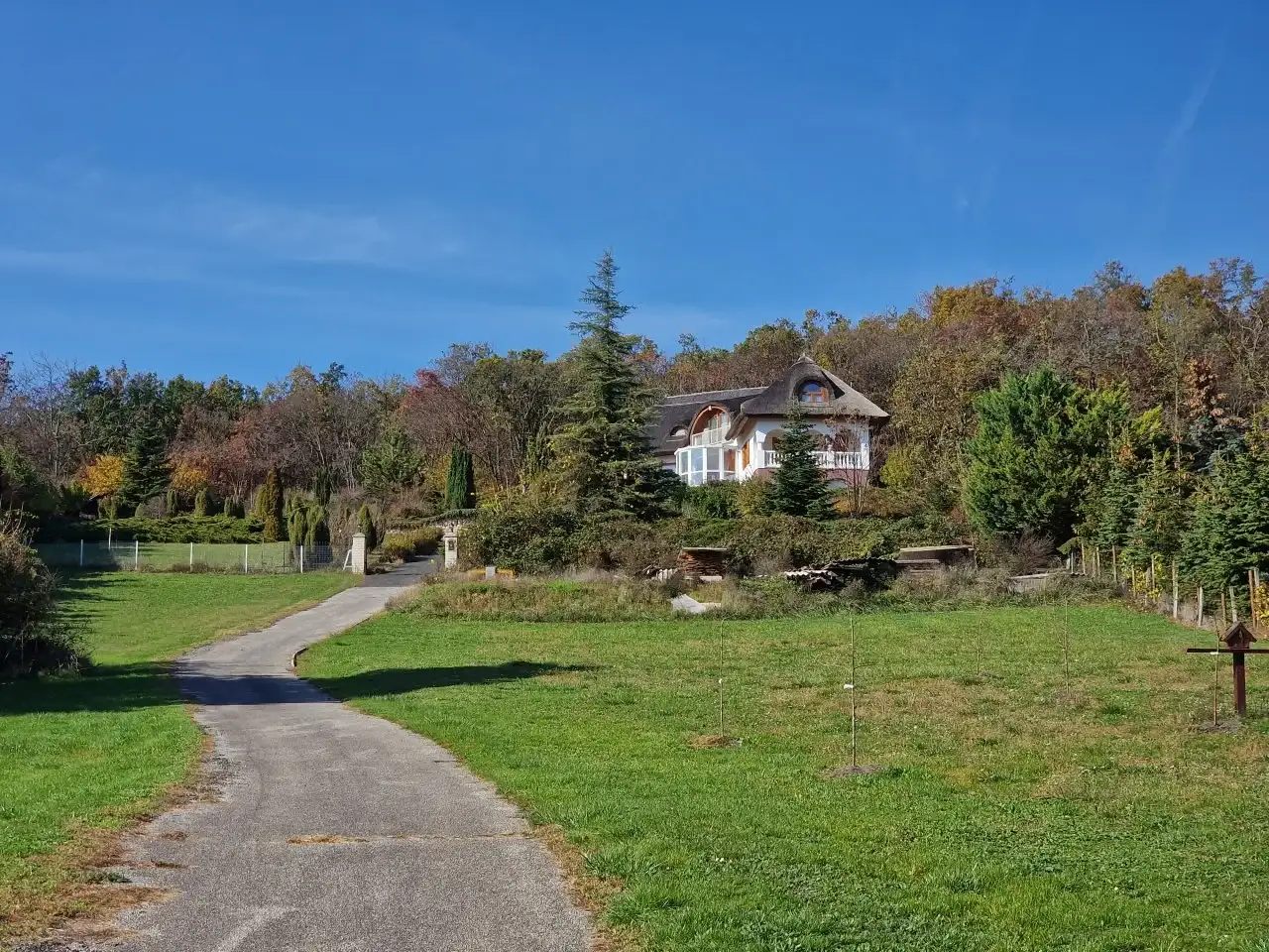 [object Object] - image