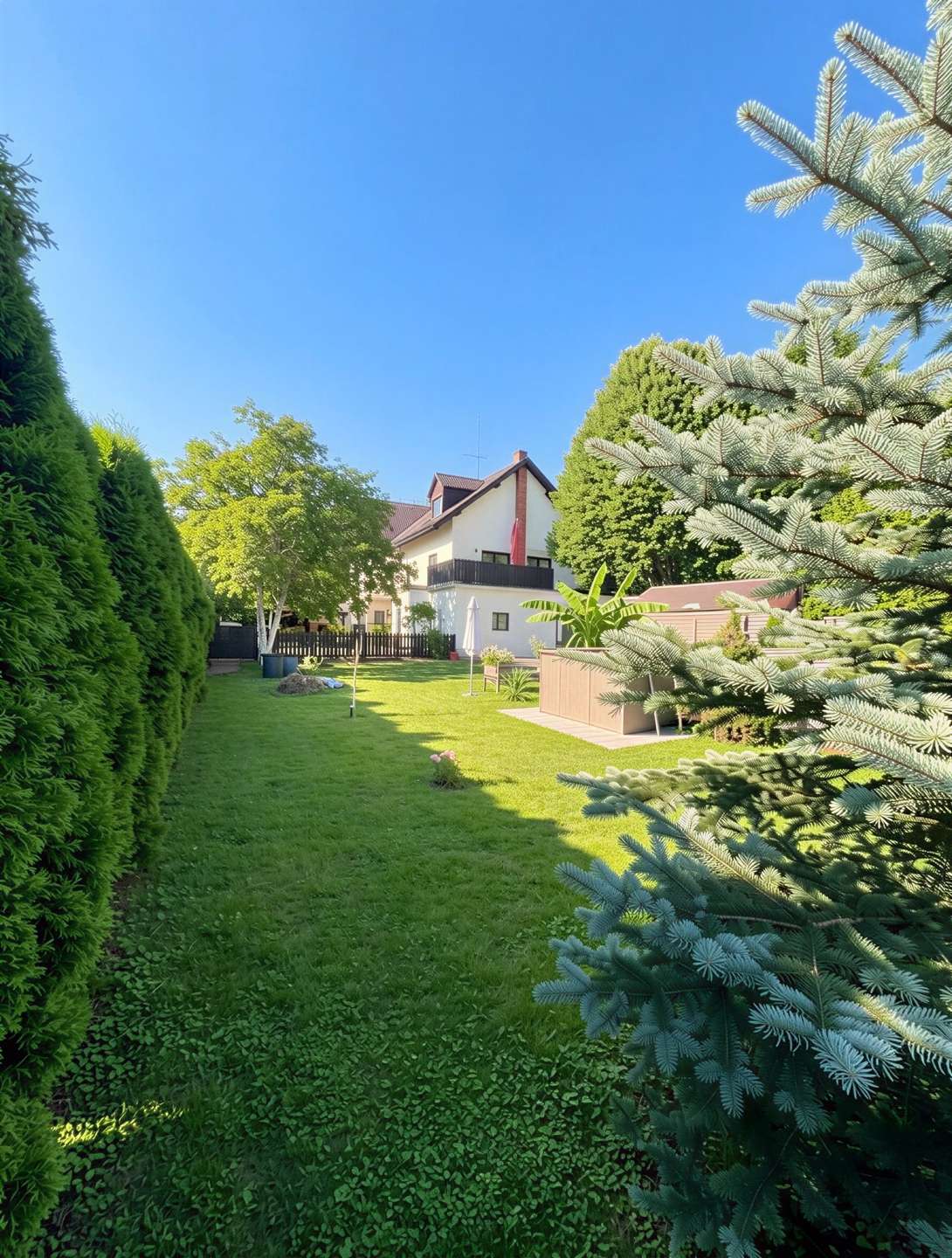 [object Object] - image