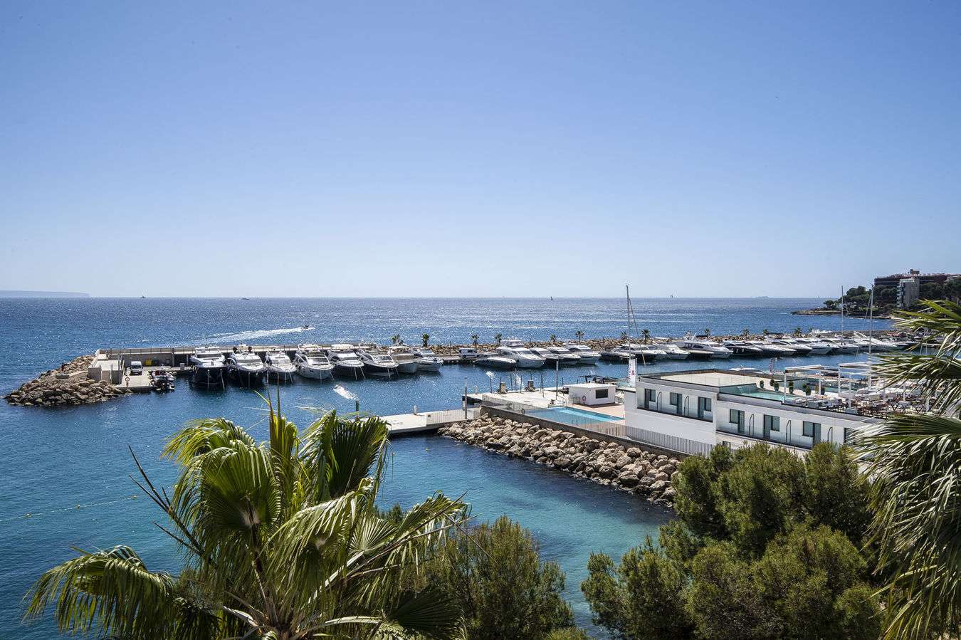 [object Object] - image