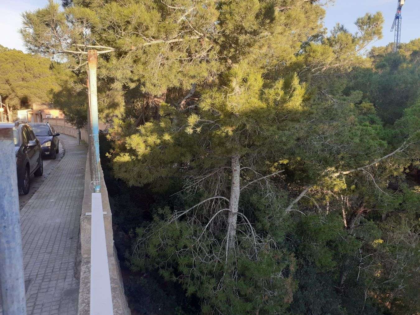 [object Object] - image