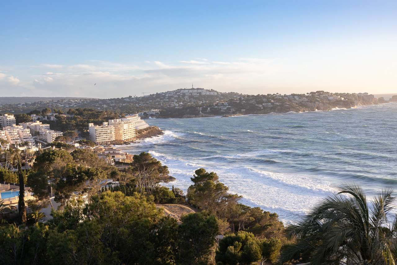 [object Object] - image