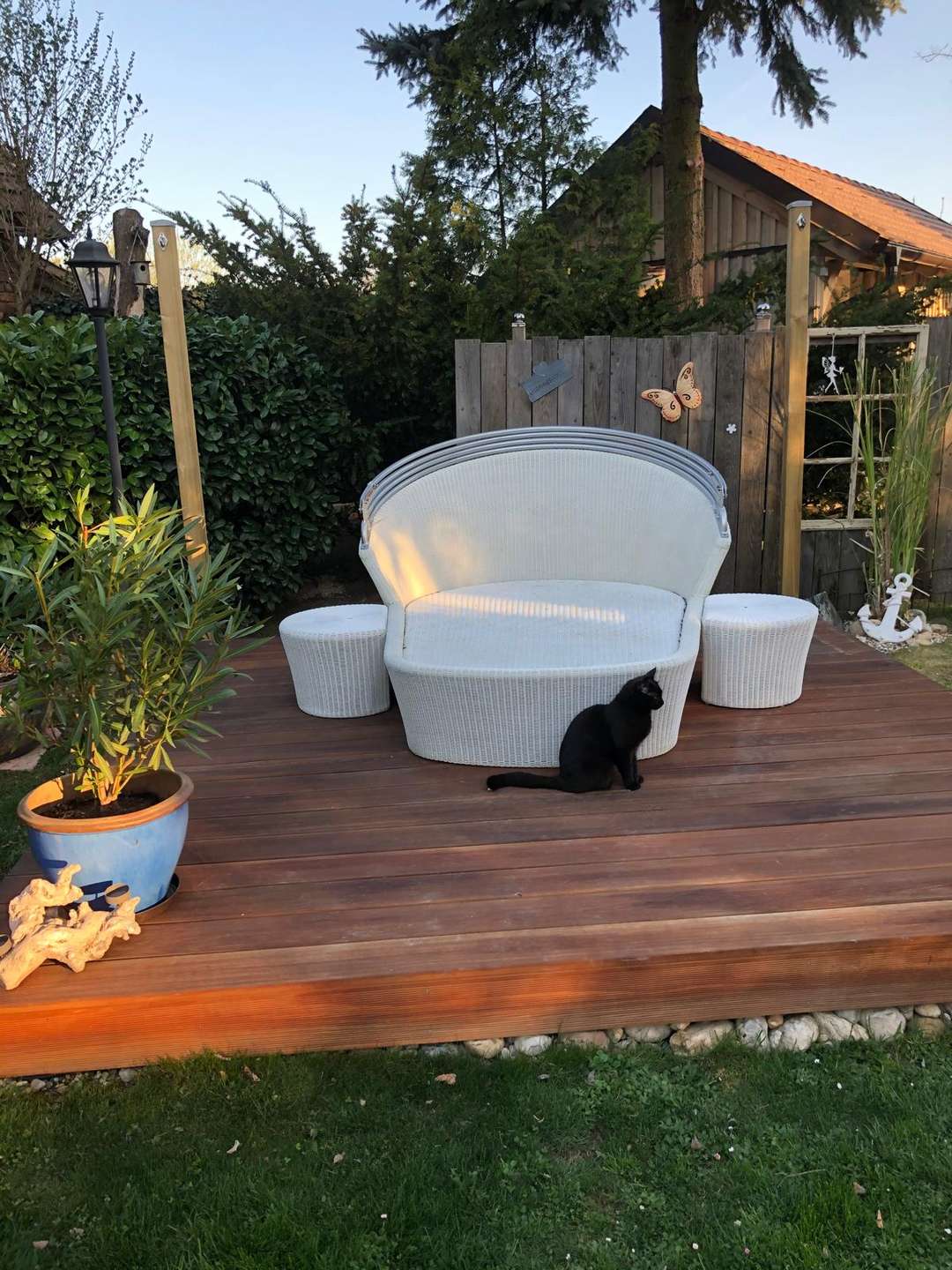 [object Object] - image