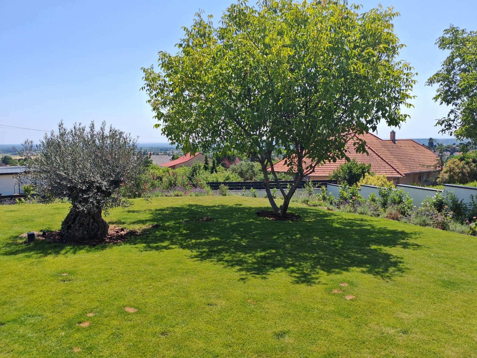 [object Object] - image