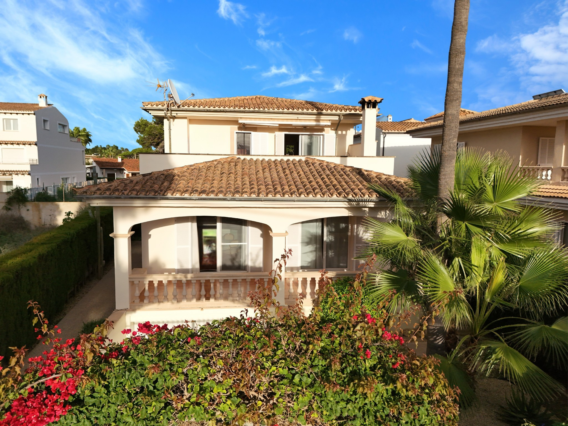 [object Object] - image