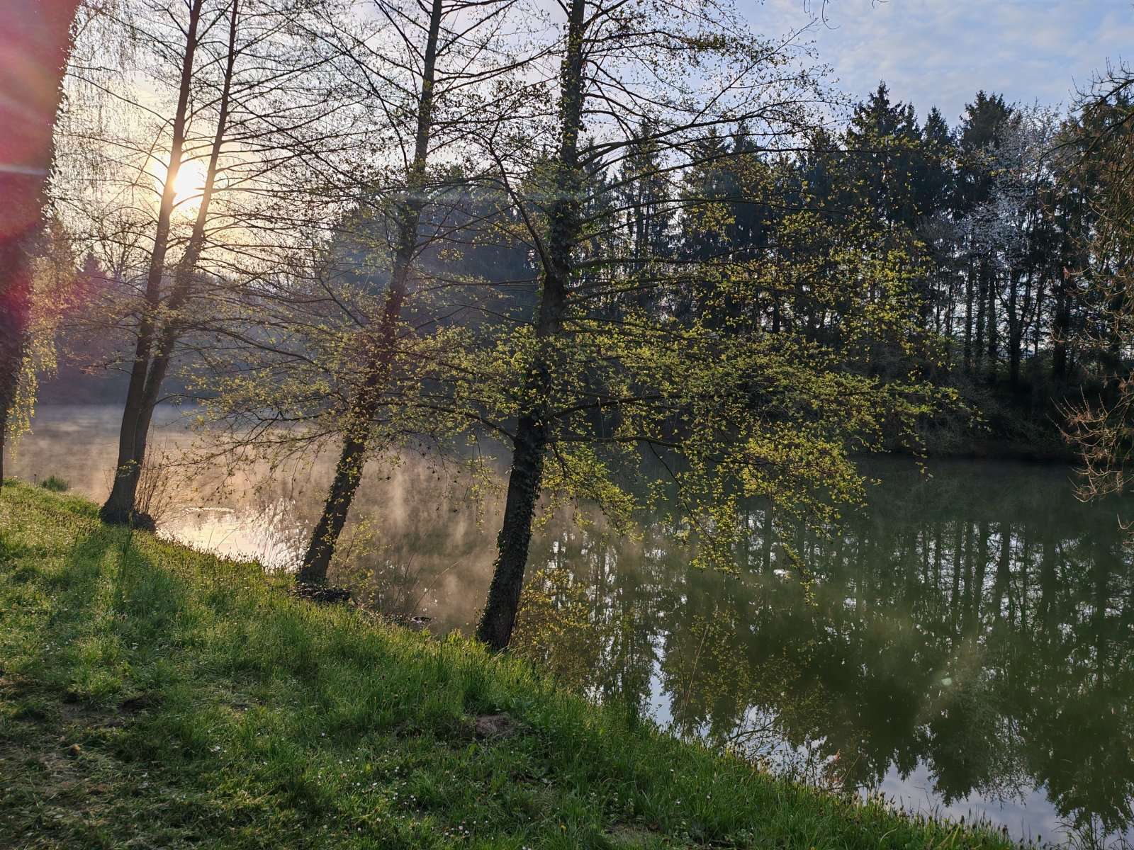 [object Object] - image