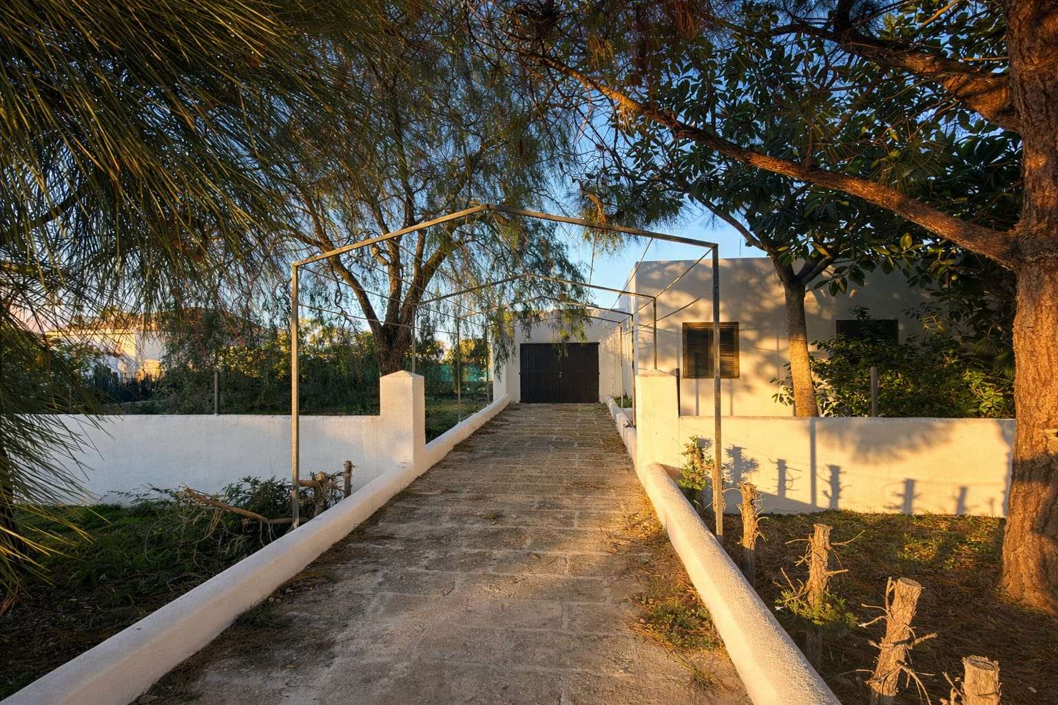 [object Object] - image