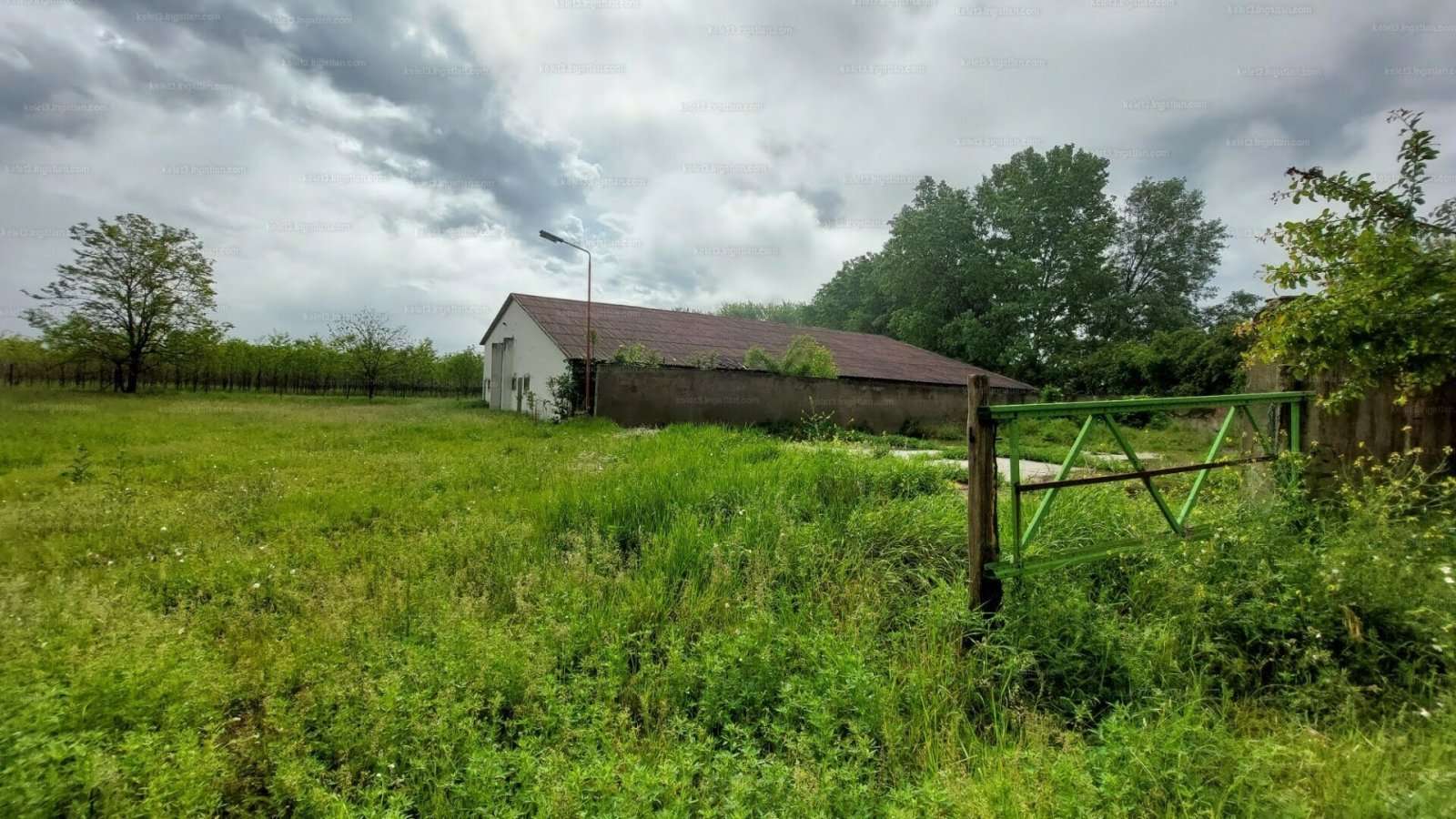 [object Object] - image